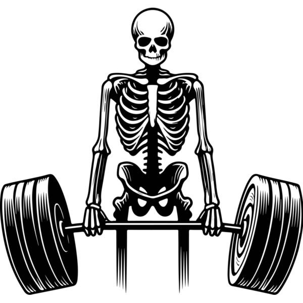 Varlk 183 Gym Thumbnail