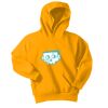 Youth Core Fleece Pullover Hooded Sweatshirt Thumbnail