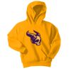 Youth Core Fleece Pullover Hooded Sweatshirt Thumbnail
