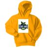Youth Core Fleece Pullover Hooded Sweatshirt Thumbnail