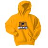 Youth Core Fleece Pullover Hooded Sweatshirt Thumbnail