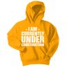 Youth Core Fleece Pullover Hooded Sweatshirt Thumbnail